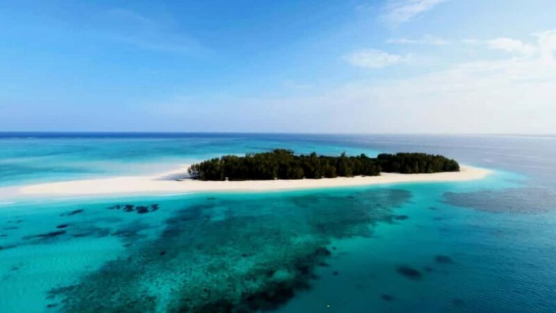Zanzibar: Mnemba Island Dolphin and Snorkeling Tour - Detailed Breakdown of the Experience