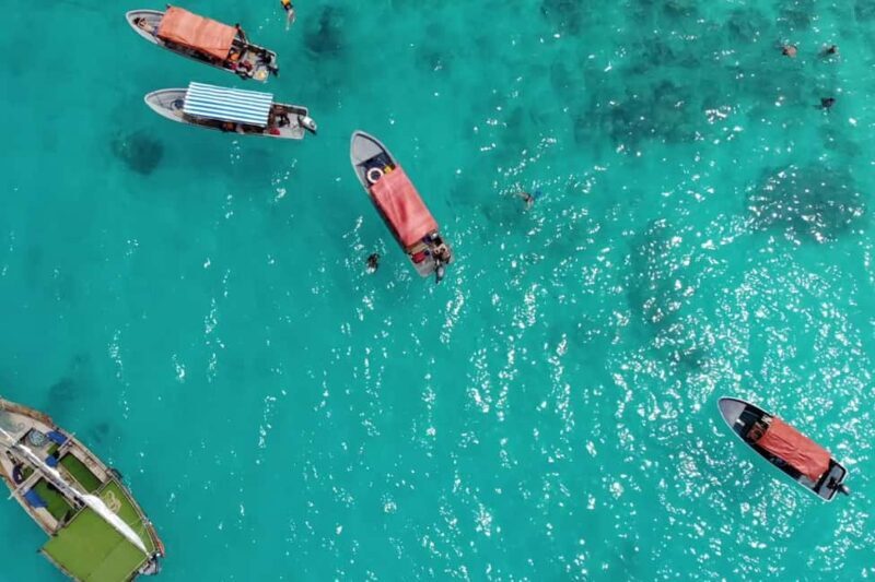 Zanzibar: Mnemba Island Dolphin and Snorkeling Tour - Introduction: A Day of Natural Beauty and Marine Magic