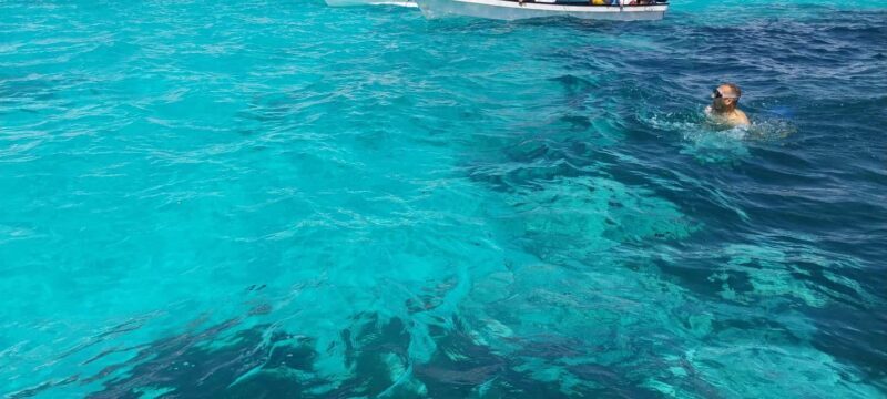 Zanzibar: Mnemba Island Dolphin and Snorkeling Tour - Who Should Consider This Tour?
