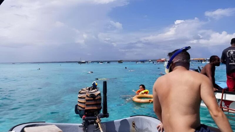 Zanzibar: Mnemba Island & Dolphin Swim with option lunch - Realistic Expectations from the Reviews