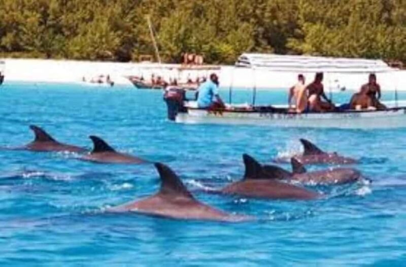 Zanzibar :Mnemba island Dolphin & Turtle Swim at Salam Cave - Key Points