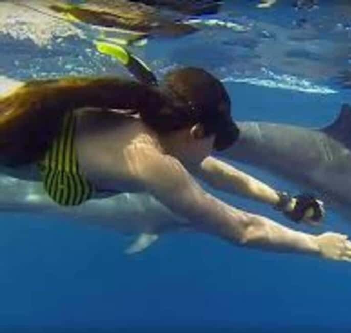 Zanzibar :Mnemba island Dolphin & Turtle Swim at Salam Cave - FAQs