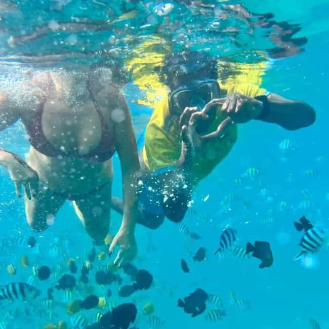Zanzibar: Mnemba Island Dolphin Watching and Sunset Cruise - Key Points