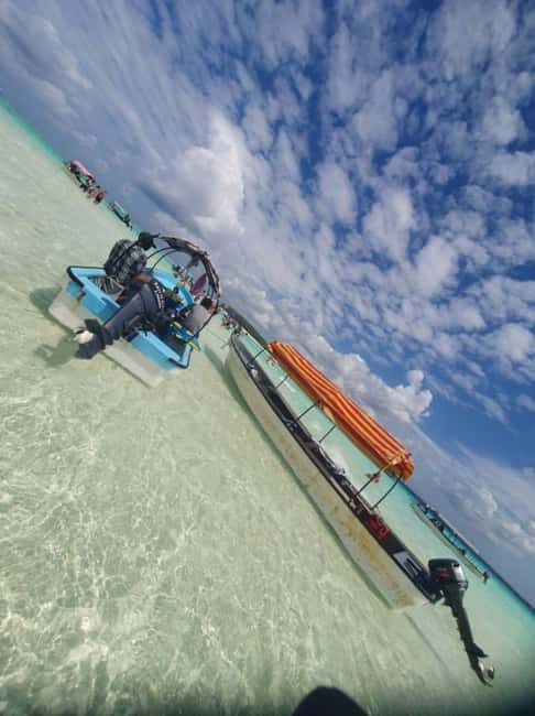 Zanzibar: Mnemba Island Dolphin Watching and Sunset Cruise - A Closer Look at the Experience