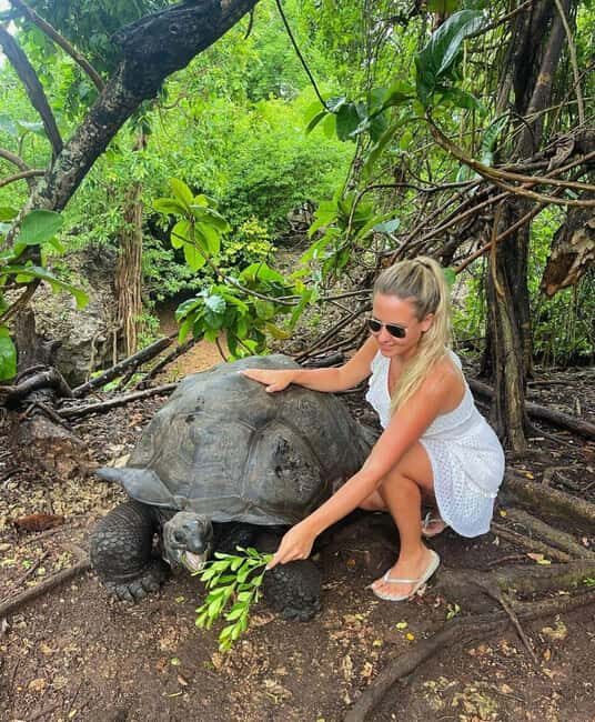 Zanzibar: Mnemba island for snorkeling from Nungwi Beach - A Full Breakdown of the Experience  