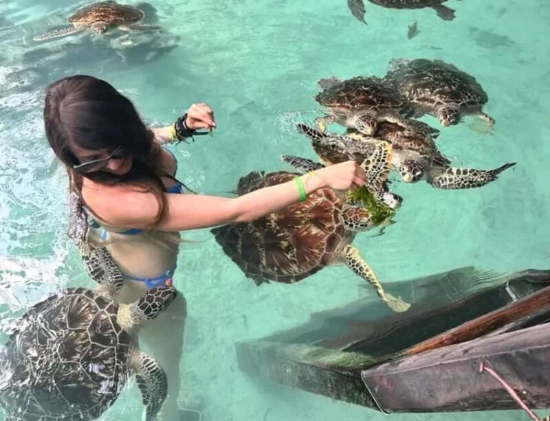 Zanzibar: Mnemba Island, Jozani Forest, and Salaam Cave Tour - Marine Adventures and Snorkeling at Mnemba Island