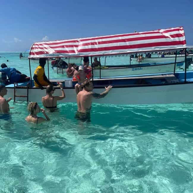 ZANZIBAR: Mnemba Island, Jozani Forest & Sea Turtles tours - Key Points