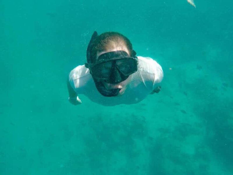 Zanzibar: Mnemba Island, Jozani forest & The Rock restaurant - Key Points