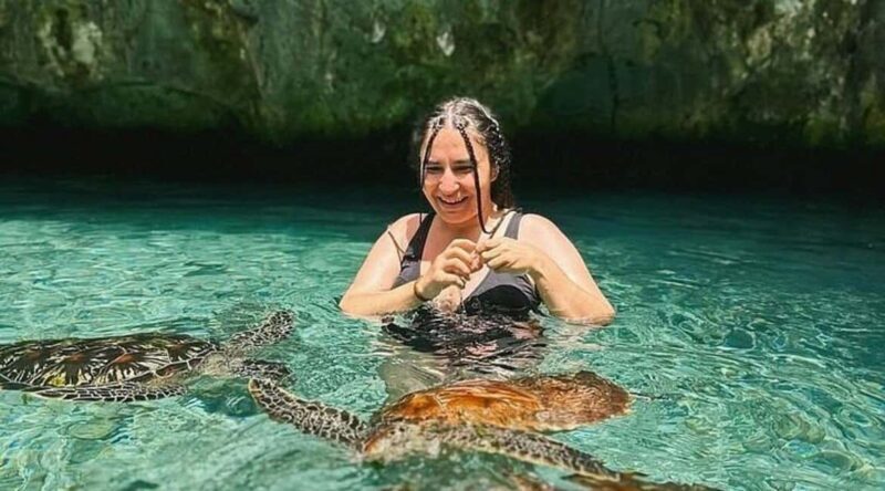 Zanzibar: Mnemba Island, Jozani Forest & Turtle Tour - A Practical Breakdown of the Tour Experience