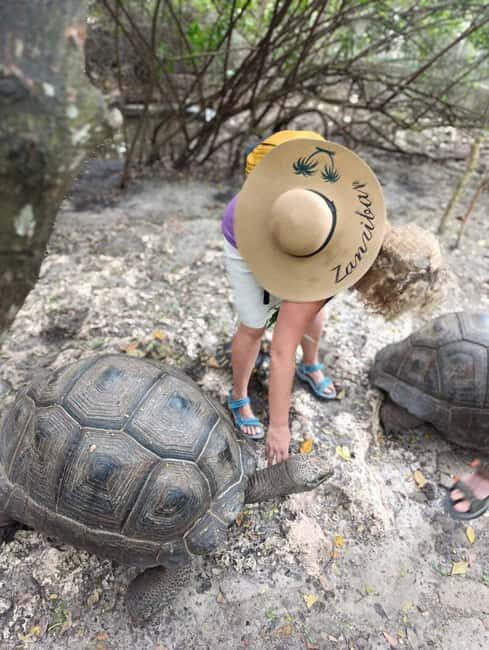 Zanzibar: Mnemba Island, Sea turtles Aquarium & Nungwi Zoo - Authentic Insights from Reviews