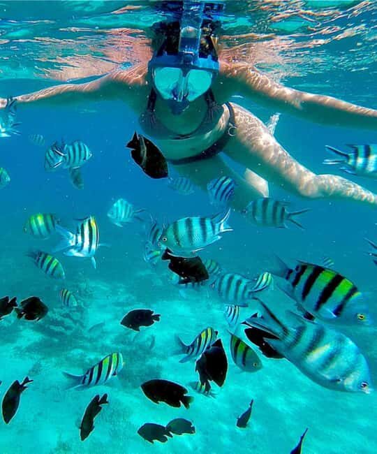 Zanzibar: Mnemba Island, Sea turtles Aquarium & Nungwi Zoo - Why Choose This Tour?