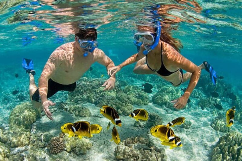 Zanzibar: Mnemba Island, Sea turtles Aquarium & Nungwi Zoo - FAQs