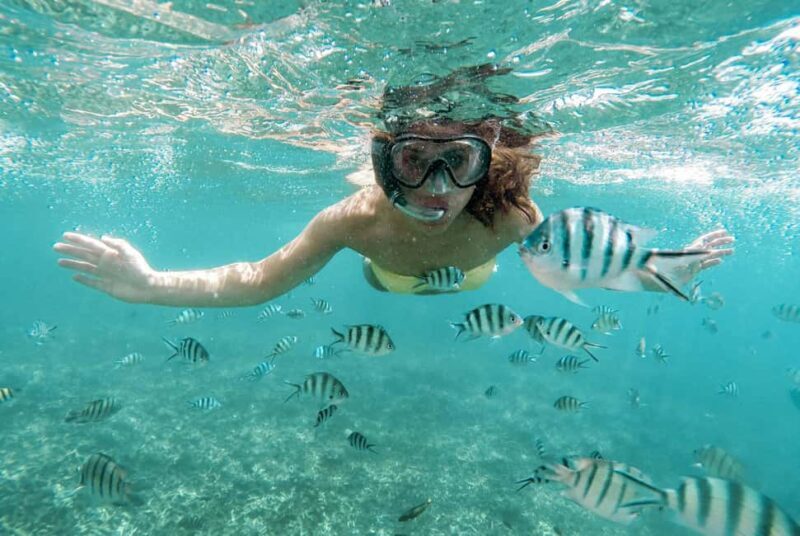Zanzibar: Mnemba Island Snorkeling and Dolphin Tour - An In-Depth Look at the Mnemba Island Snorkeling and Dolphin Tour