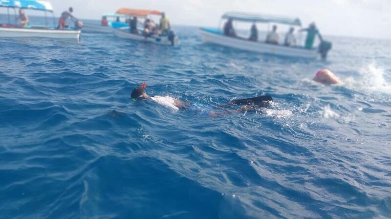 Zanzibar: Mnemba Island Snorkeling and Dolphin Tour - The Sum Up: Is This Tour Right for You?