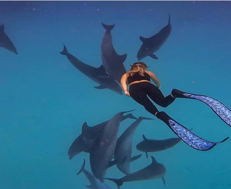 Zanzibar: Mnemba Island Snorkeling and Dolphin Watching - Introduction