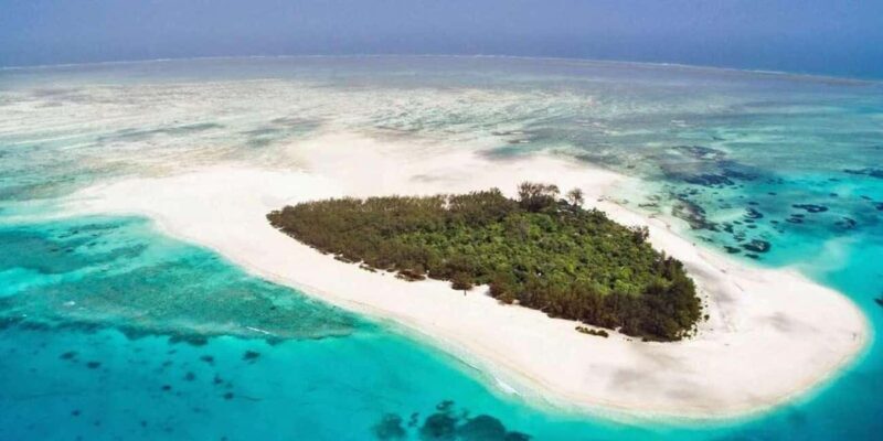 Zanzibar: Mnemba Island Snorkeling, Aquarium & Jozani Forest - Key Points