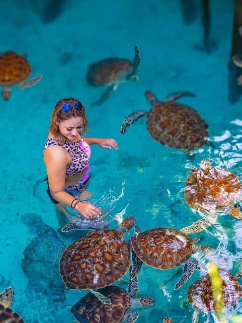 Zanzibar: Mnemba Island Snorkeling, Aquarium & Jozani Forest - FAQs