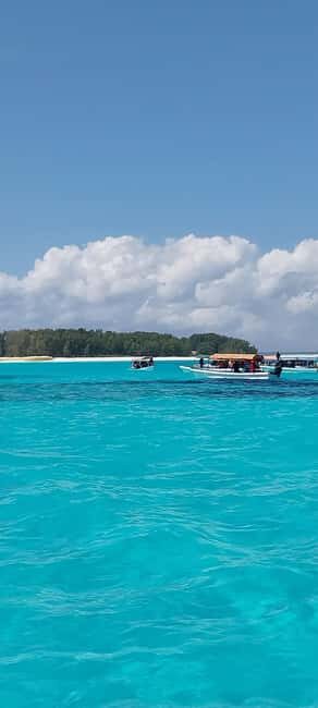 Zanzibar: Mnemba Island Snorkeling & Dolphin - Key Points