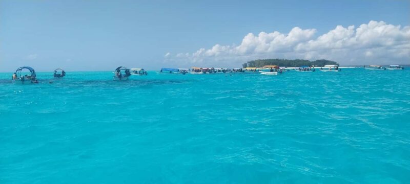 Zanzibar: Mnemba Island Snorkeling & Dolphin - Who Will Love This Tour?