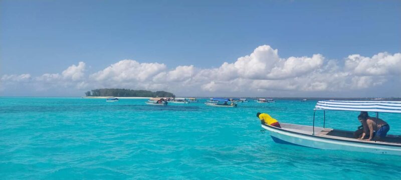 Zanzibar: Mnemba Island Snorkeling & Dolphin - FAQ
