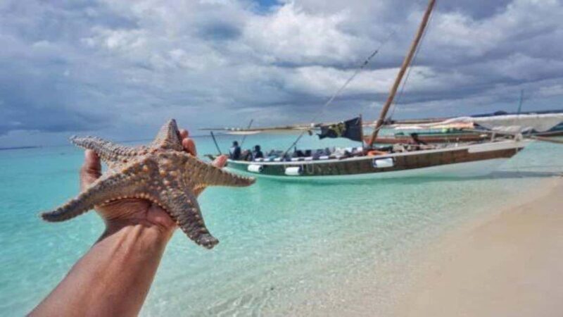 Zanzibar: Mnemba Island Snorkelling and Dolphin Tour. - Key Points