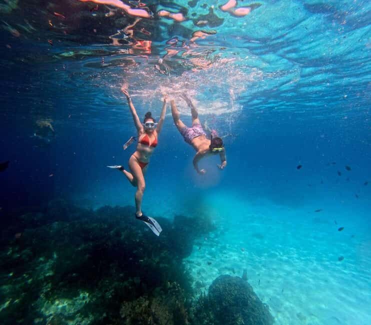 Zanzibar: Mnemba snorkeling, dolphin & Jozani Forest tour - The Sum Up