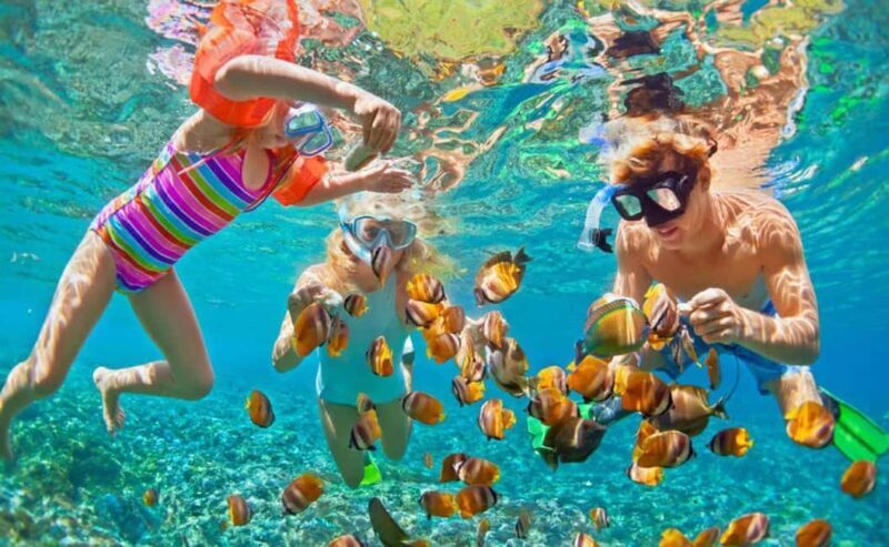 Zanzibar: Mnemba Snorkeling, Spice Tour & Salaam Sea Turtles - Key Points