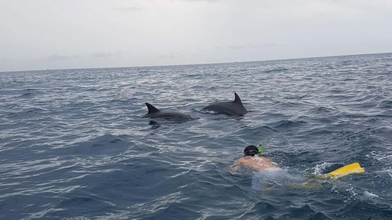 Zanzibar: Mnemba Tours A Tropical Paradise - Why This Tour Works Well for Different Travelers