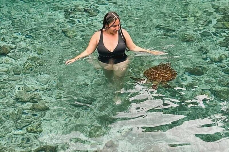 Zanzibar Nature Combo: Salaam Cave Swim & Jozani Forest Tour - The Sum Up: Who Will Love This Tour?  
