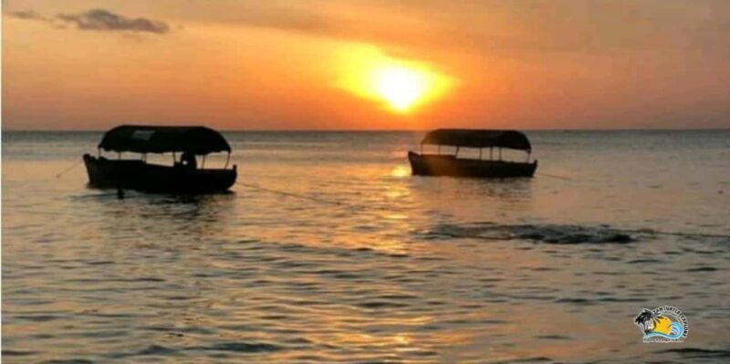 Zanzibar: Nungwi/Kendwa Beach Sunset Dhow Cruise with Fruits - Introduction