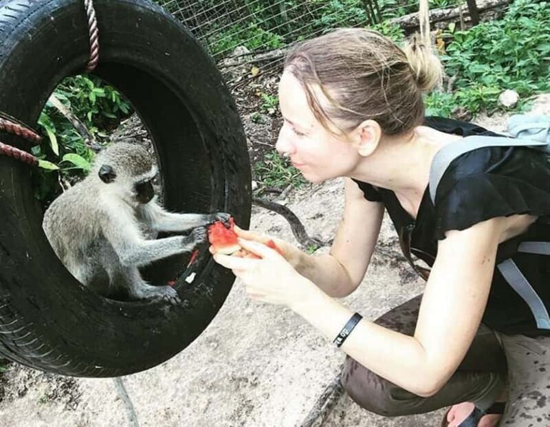 Zanzibar: Nungwi kilosa Conservation Zoo half day tour - Key Points