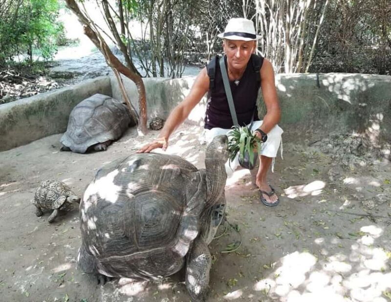 Zanzibar: Nungwi kilosa Conservation Zoo half day tour - The Experience at a Glance