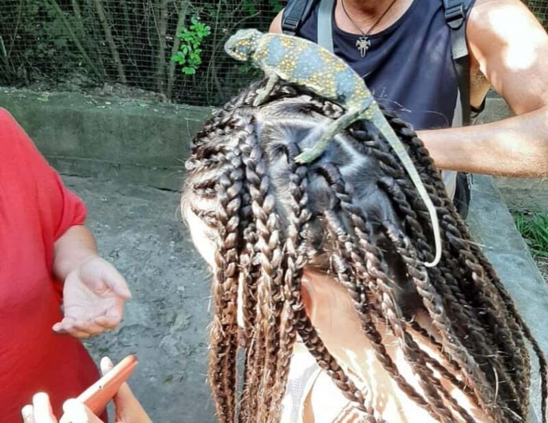 Zanzibar: Nungwi kilosa Conservation Zoo half day tour - FAQ
