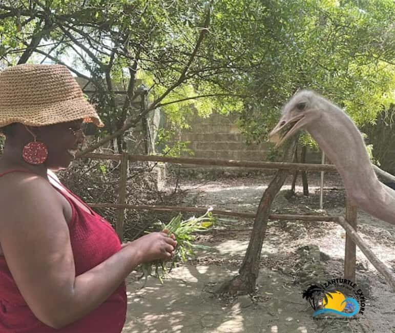 Zanzibar: Nungwi Kilosa Zoo Conservation Tour - FAQs