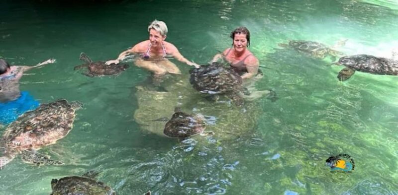 Zanzibar: Nungwi Kilosa Zoo & Swimming with Turtles - A Detailed Look at the Nungwi Kilosa Zoo & Turtle Swim Tour