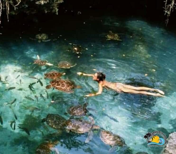 Zanzibar: Nungwi Kilosa Zoo & Swimming with Turtles - Final Thoughts