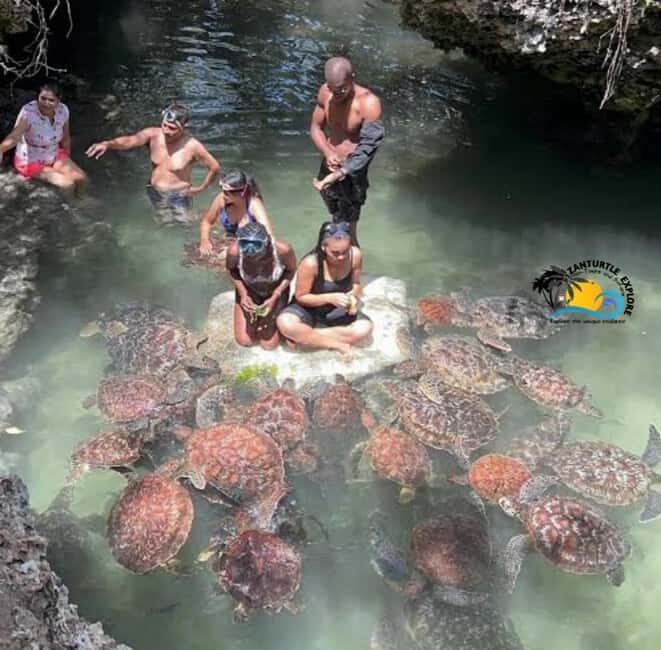 Zanzibar: Nungwi Kilosa Zoo & Swimming with Turtles - FAQ