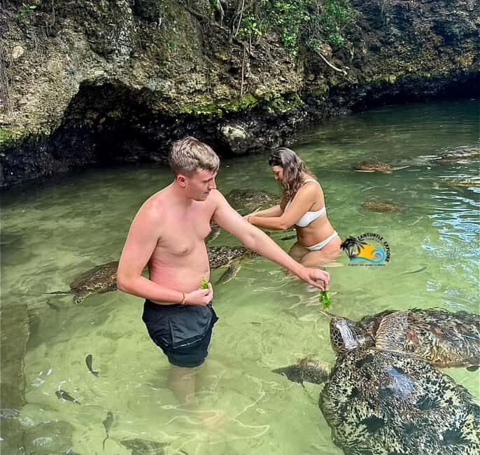 Zanzibar: Nungwi Mnarani Aquarium Feed and Swim with Turtles - Introduction to the Experience