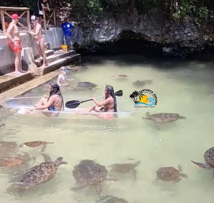 Zanzibar: Nungwi Mnarani Aquarium Feed and Swim with Turtles - Is It Worth the Price?