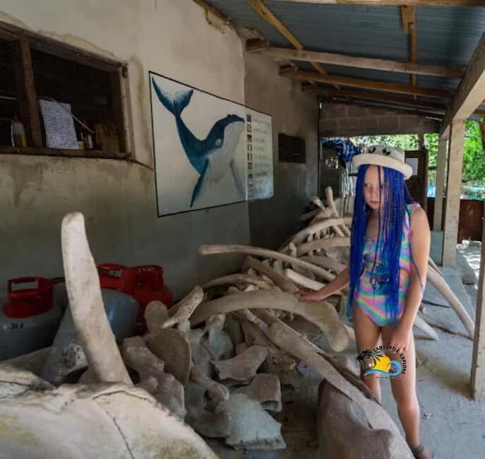 Zanzibar: Nungwi Mnarani Aquarium Feed and Swim with Turtles - The Practical Side: Tips for a Smooth Visit