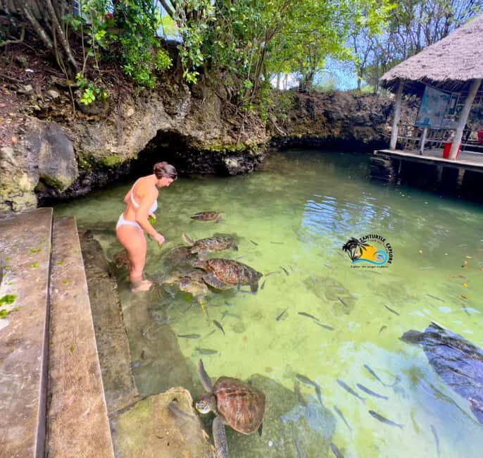 Zanzibar: Nungwi Mnarani Aquarium Feed and Swim with Turtles - Who Will Love This Tour?