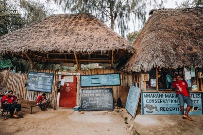 Zanzibar: Nungwi North Coast Beach Trip & Swim with turtles - What to Expect: A Well-Organized, Value-Packed Day