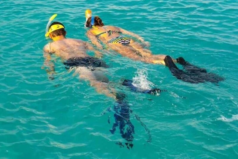 Zanzibar: Nungwi North Coast Beach Trip & Swim with turtles - Authenticity and Unique Experiences