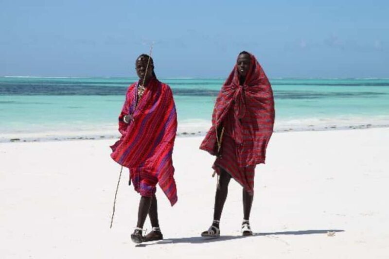 Zanzibar: Nungwi North Coast Beach Trip & Swim with turtles - The Sum Up