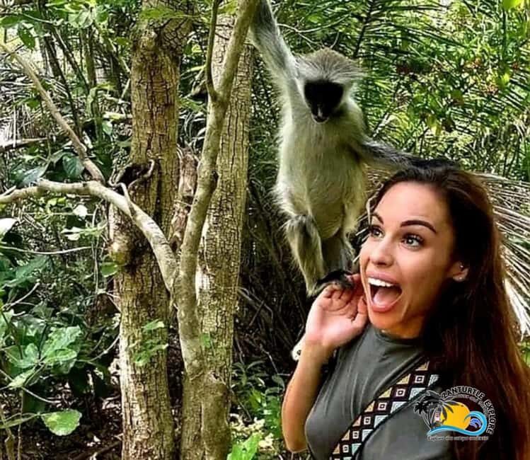 Zanzibar: Nungwi Village, Jozani Forest, and The Rock Tour - FAQ