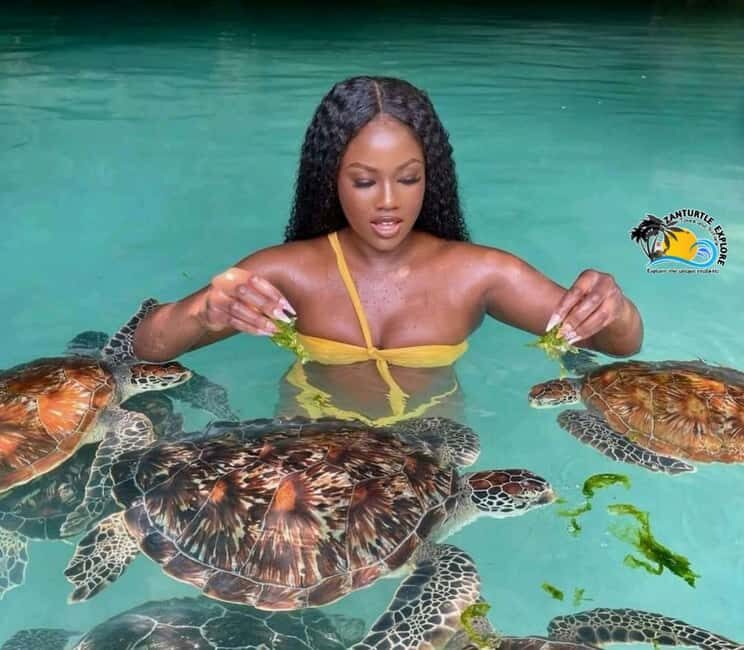 Zanzibar: Nungwi Village Tour and Swimming with Turtles - Craft Shopping and Local Souvenirs