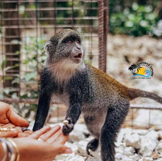 Zanzibar: Nungwi Village Tour, Kilosa Zoo & Sunset Cruise - Key Points