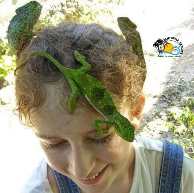 Zanzibar: Nungwi Village Tour, Kilosa Zoo & Sunset Cruise - FAQ
