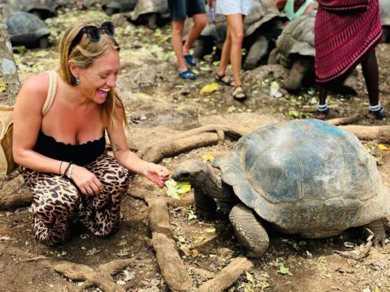 Zanzibar: Prison Island and Nakupenda Beach + Lunch optional - What You Can Expect from the Tour  