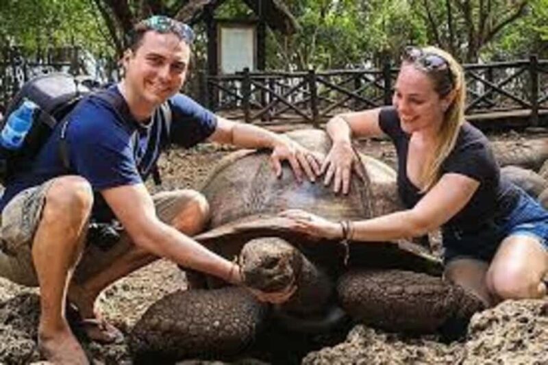 Zanzibar: Prison Island and Nakupenda Sandbank Day Trip - In-Depth Look at the Tour Experience  